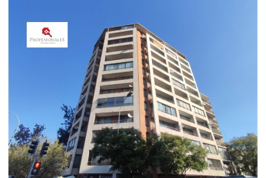 https://www.profesionalesinmobiliarios.cl/wp-content/uploads/2026/05/1.1-e1777864912552.png